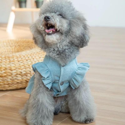 High quality Summer Pet Clothes Wholesale Fancy Dog Dress Fashionable Bull-puncher Skirt Ribbon Dog Clothes