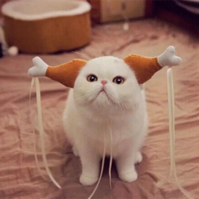 Dog Cat Hat chicken leg Hats Teddy Dog Antlers Dog cute Caps Hat Pet Costume